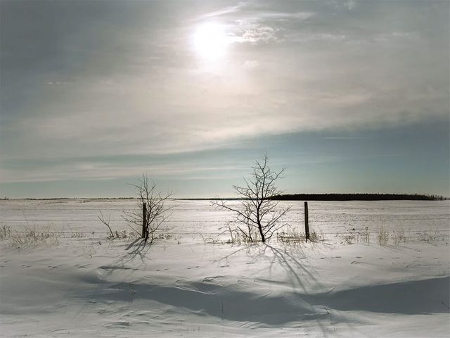 La beaut de l'hiver canadien  travers cette image prise prs de St Walburg en Saskatchewan.