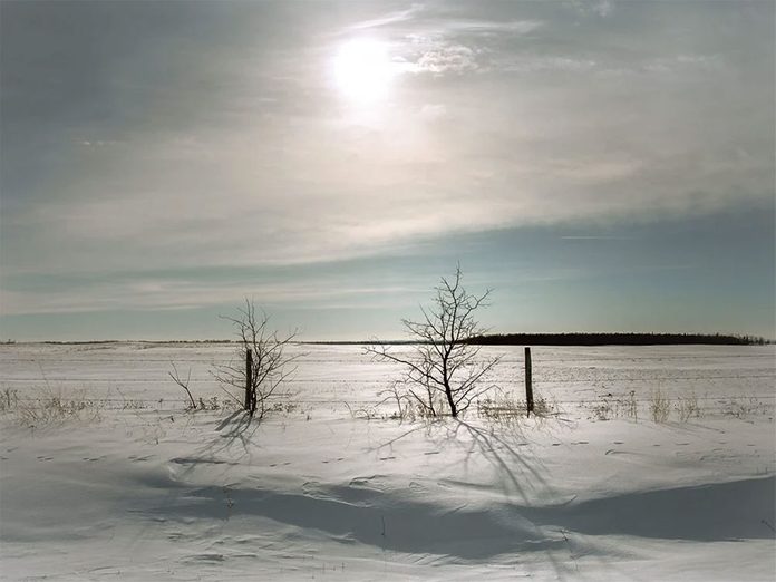 La beauté de l'hiver canadien à travers cette image prise près de St Walburg en Saskatchewan.