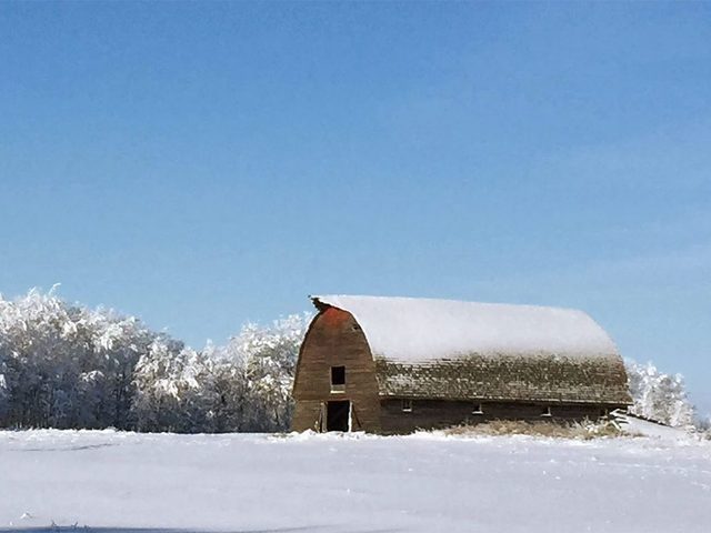La beaut de l'hiver canadien  travers cette image de Brandon, au Manitoba.