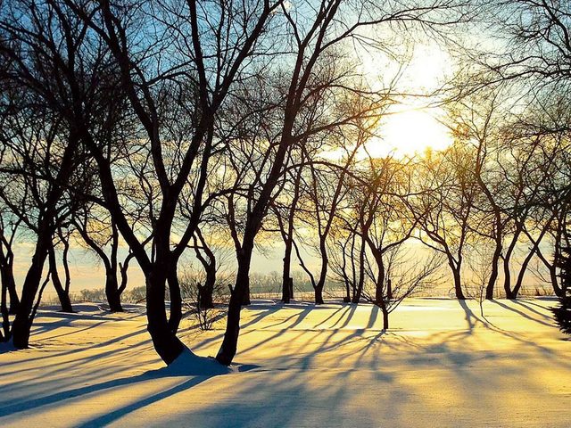 La beaut de l'hiver canadien  travers cette image de Brandon au Manitoba.
