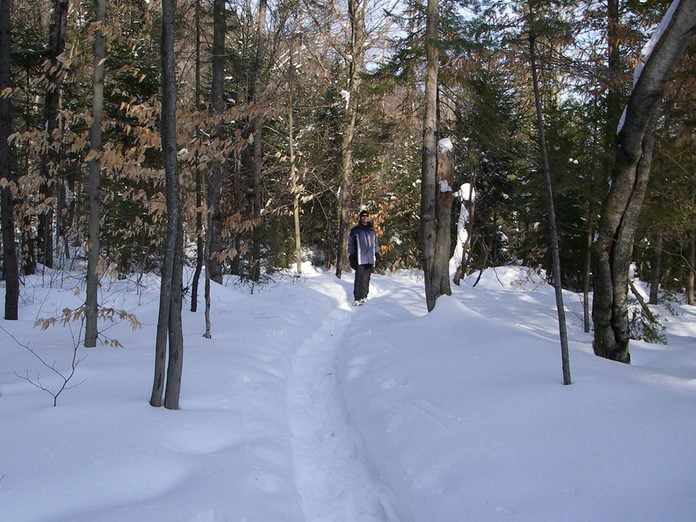 Le sentier Mestachibo est parfait pour une randonnée hivernale.