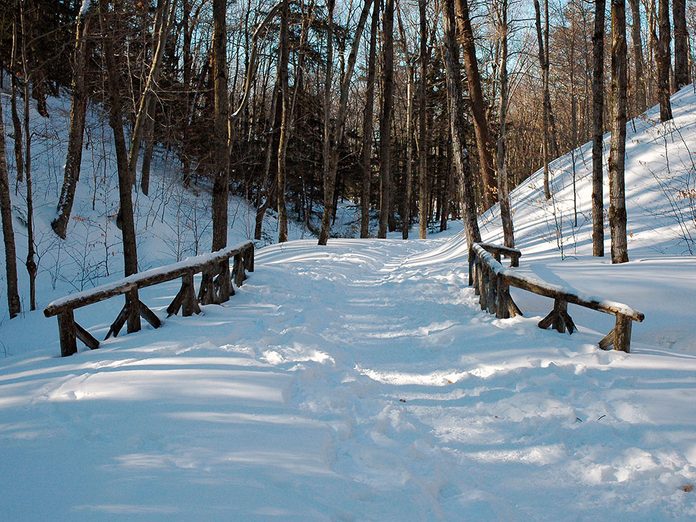 Sentiers pédestres Québec: Le Parc de la Gatineau est parfait pour une randonnée hivernale.