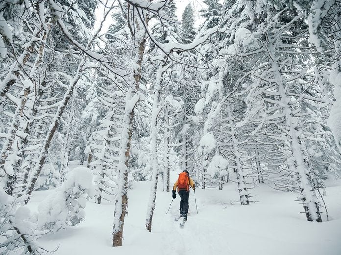 Le Parc régional du Massif du Sud est parfait pour une randonnée hivernale.