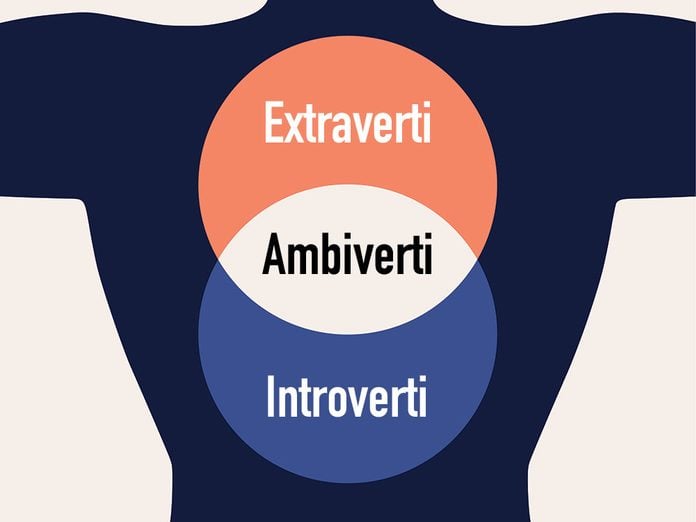 Introvertis, extravertis et ambivertis.