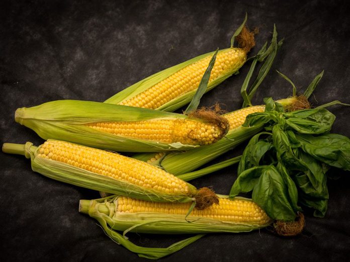 Le maïs en épi fait partie des aliments qu’il vaut mieux ne jamais laisser dans son garde-manger.