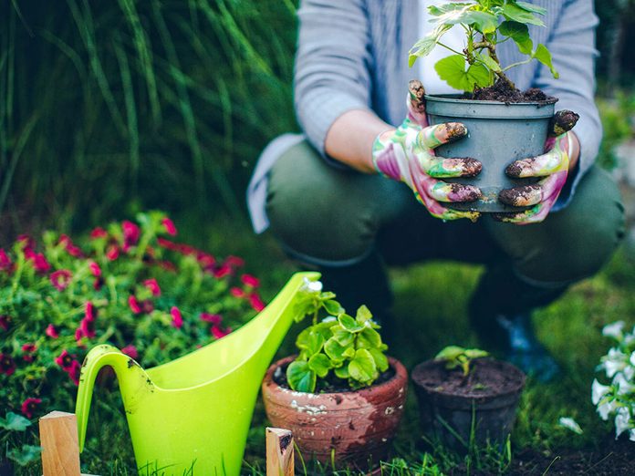 Cultiver son jardin… intérieur pour une meilleure gestion du stress.
