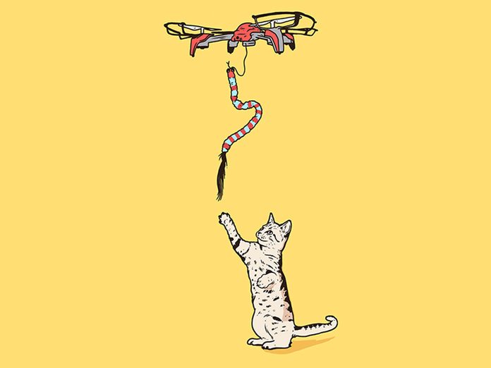 Le drone-à-chat fait partie des inventions étranges et merveilleuses.
