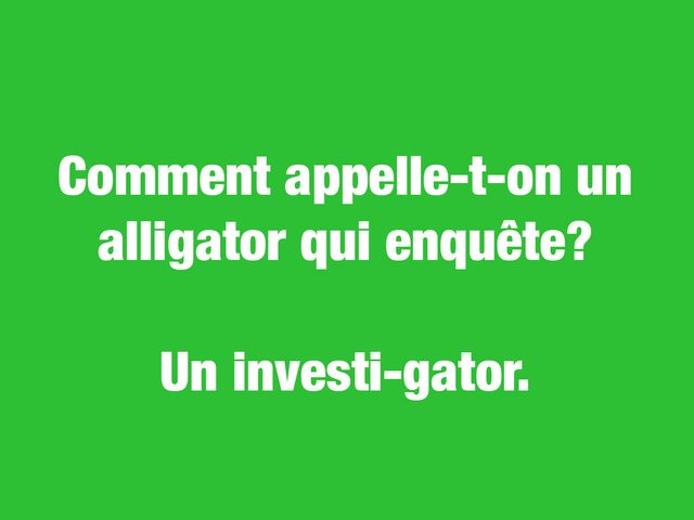 Blagues courtes: comment appelle-t-on un alligator qui enqute?