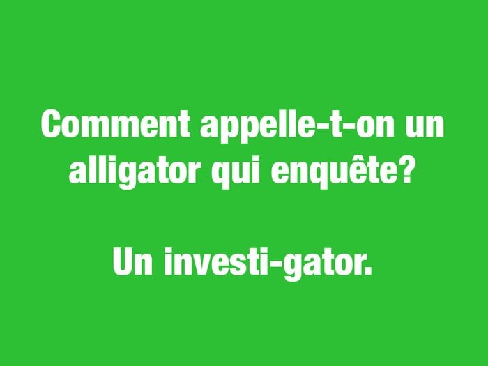 Blagues courtes: comment appelle-t-on un alligator qui enquête?