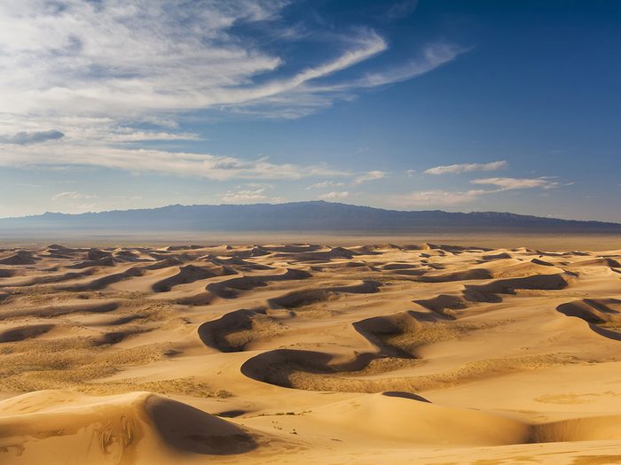 Sous la chaleur du désert de Gobi.