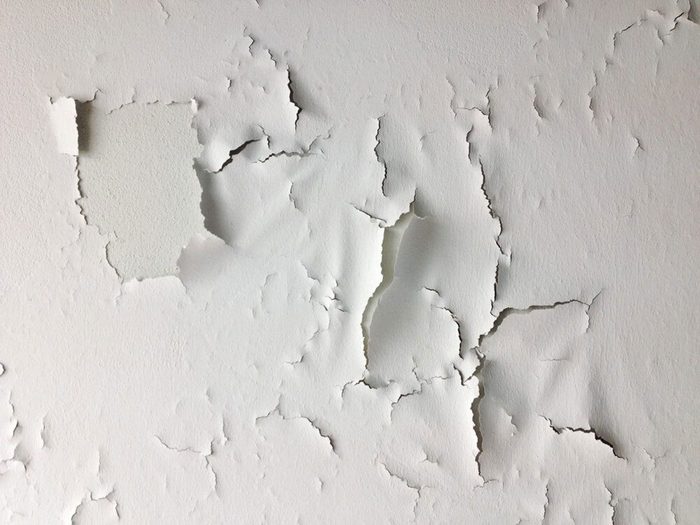Les planchers fragiles et la peinture écaillée signifient que votre maison risque d'être infestée.
