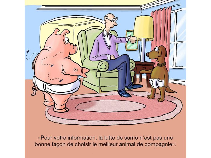 Illustrations comiques du meilleur animal de compagnie.