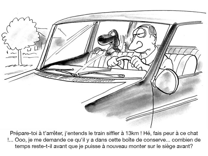 Illustrations comiques d'un chauffard du siège arrière un peu spécial.