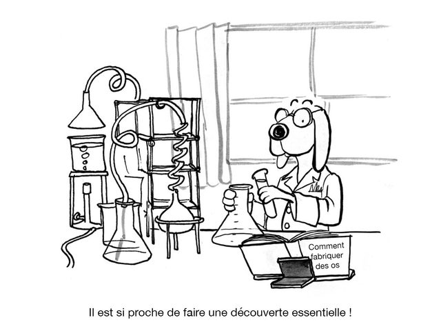 Illustrations comiques d'un chien scientifique.