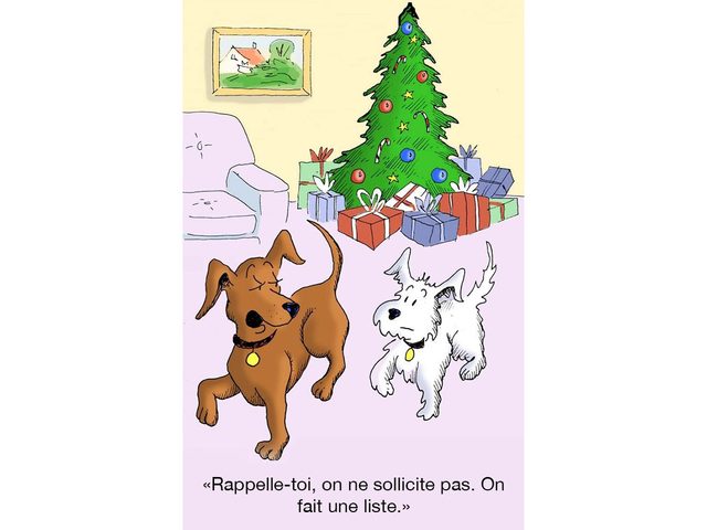 Illustrations comiques de chiens  Nol.