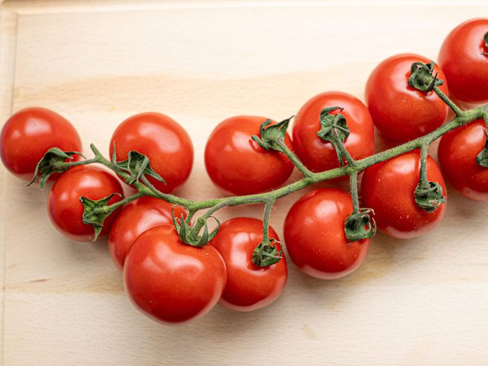 Les plants de tomates font partie des plantes qui sont toxiques pour les chats.