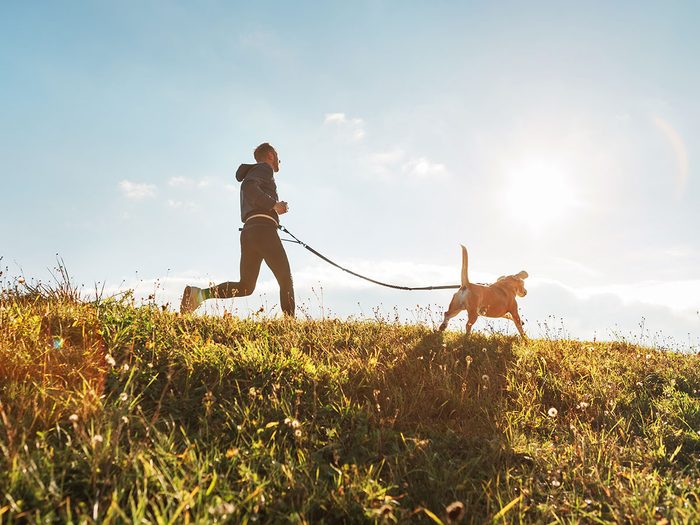 Le domaine Joly-De Lotbinière est l'un des plus beaux sentiers pédestres pour faire de la randonnée avec son chien.