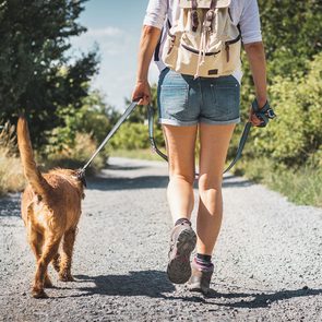 Le sentier national en Matawinie est l'un des plus beaux sentiers pédestres pour faire de la randonnée avec son chien.