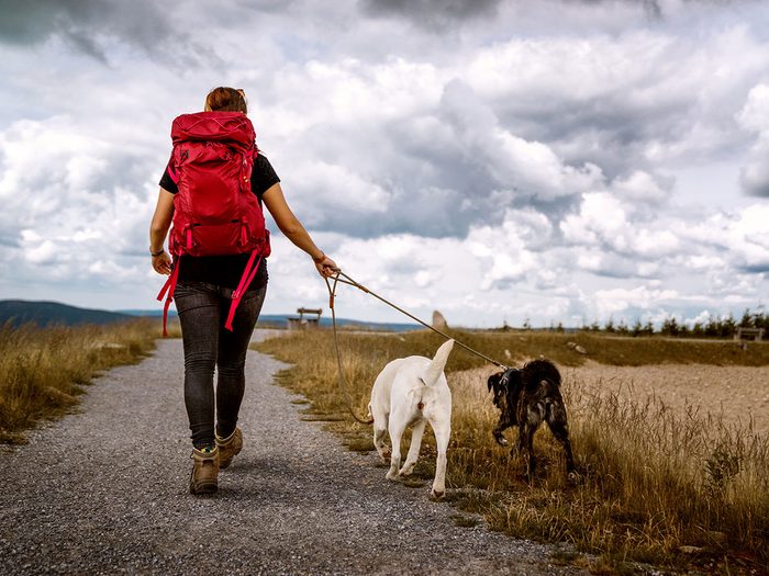 Le parc côtier Kiskotuk et l’île Verte est l'un des plus beaux sentiers pédestres pour faire de la randonnée avec son chien.