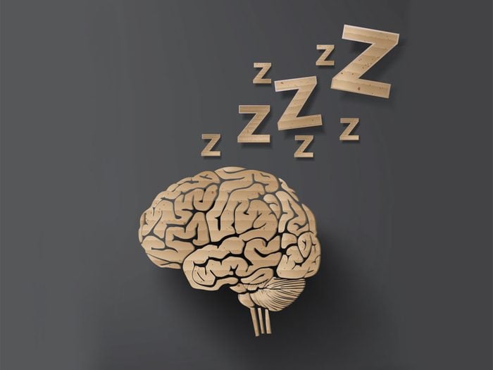 Le sommeil sert de maintenance nocturne pour régénérer son cerveau.