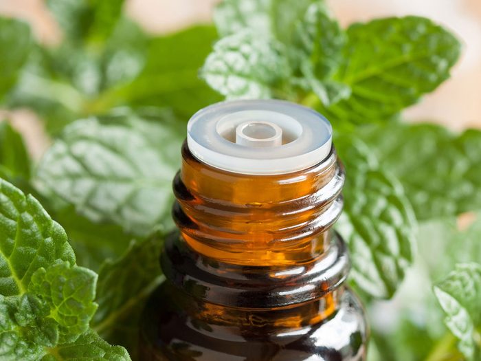 L'huile essentielle de menthe poivrée fait partie des remèdes maison contre les piqûres d'insectes.