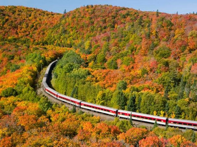 Faire un voyage en train  travers le Canada  bord du Agawa Canyon Tour Train.