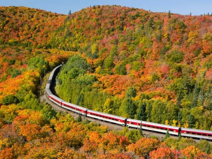 Faire un voyage en train à travers le Canada à bord du Agawa Canyon Tour Train.