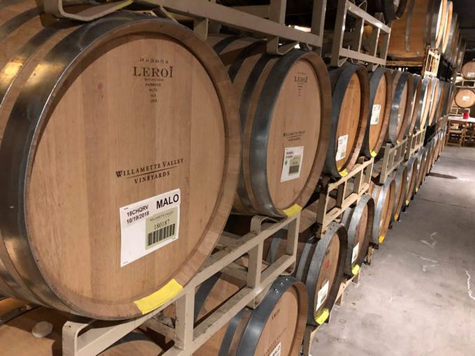 Des barils de chardonnay dans un vignoble de la vallée de la Willamette, à Turner, dans l’Oregon : le viticulteur californien a annulé le contrat pour cause des feux de forêt en 2019.