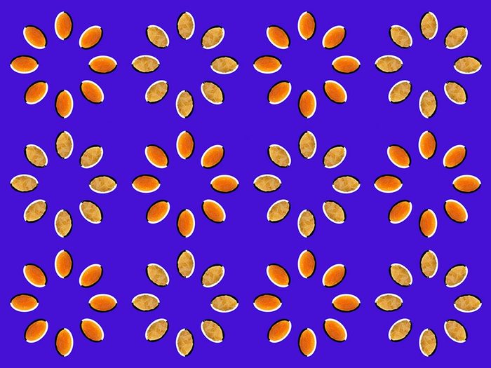 L’illusion d'optique des graines tournantes.