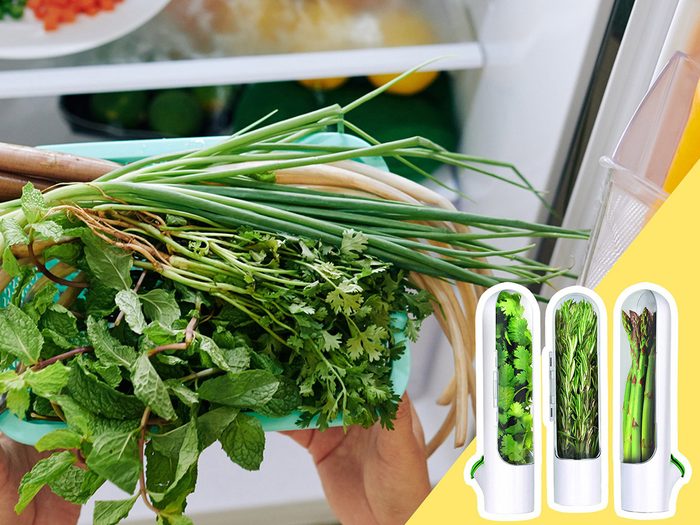Soyez attentif au basilic et aux autres fines herbes fraîches lors du nettoyage du frigo.