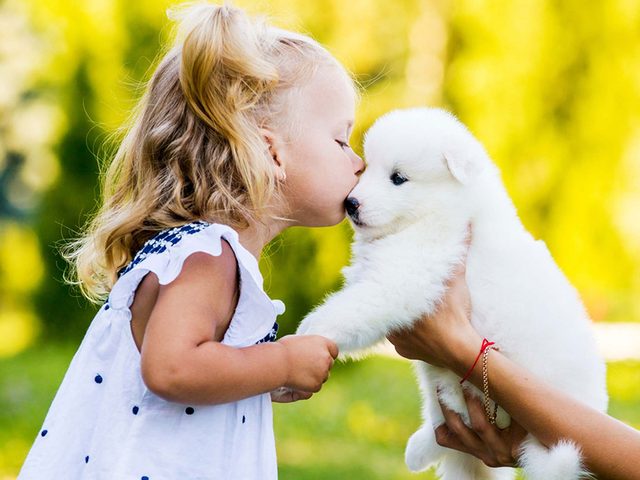 Un chien avec une petite fille.