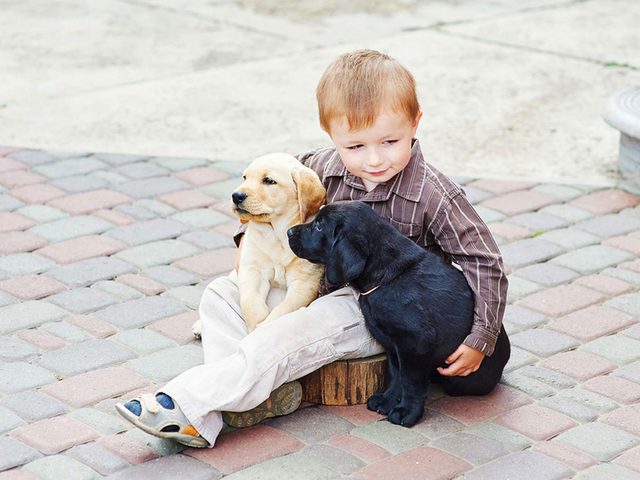 Adopter un chien de refuge c'est aussi savoir qu'il sera compltement diffrent des autres chiens.