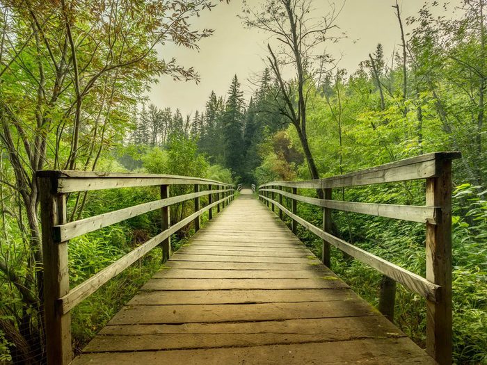 Un pont en bois dans la nature au Canada.
