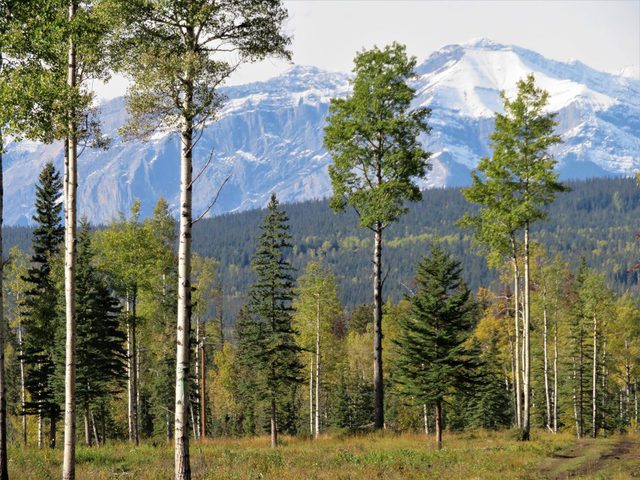 Les montagnes Rocheuses font partie de la nature au Canada.