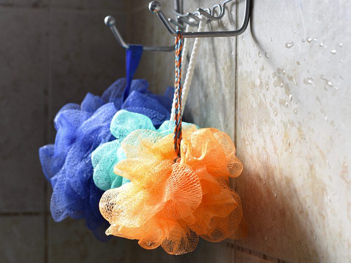 Éponge de couleur pour le corps sous la douche.
