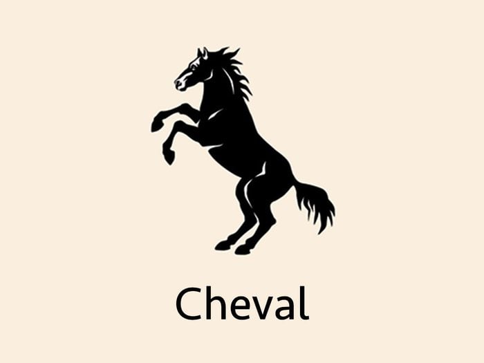 Astrologie chinoise: le signe du Cheval.
