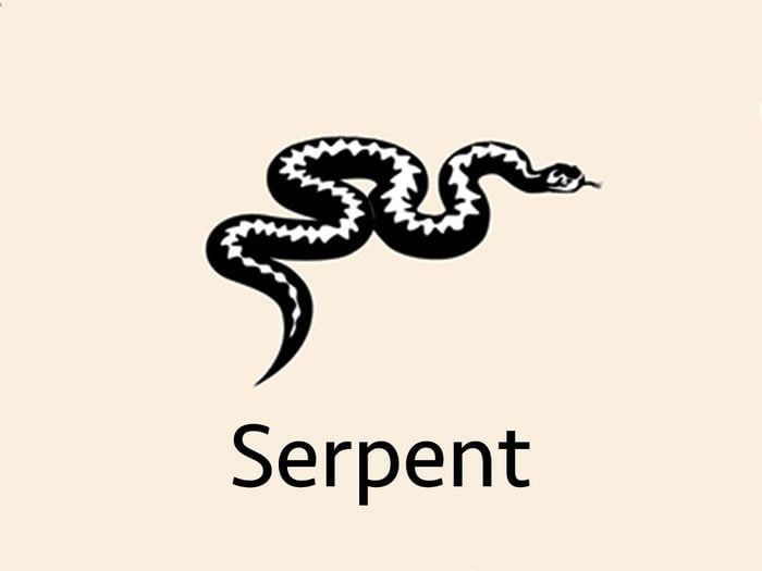 Astrologie chinoise: le signe du Serpent.