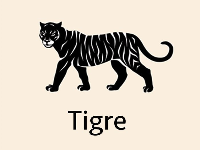 Astrologie chinoise: le signe du Tigre.