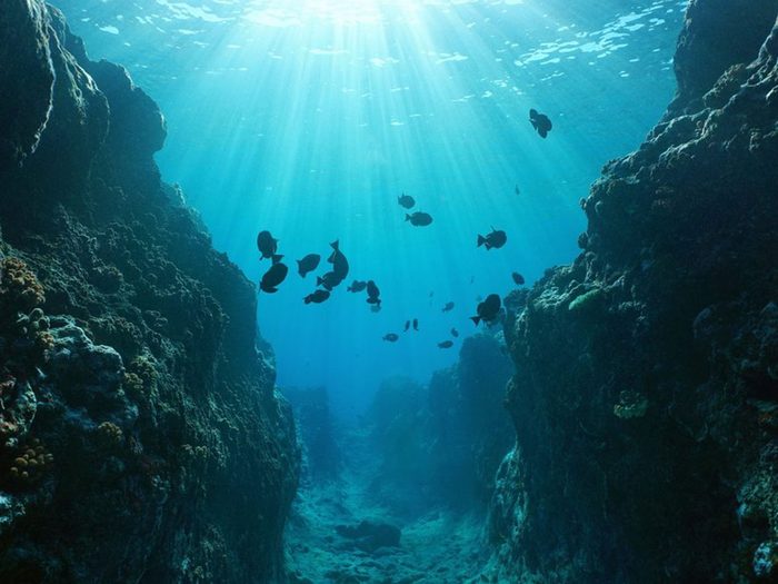 Le fond océanique fait partie des mystères de l'océan que les scientifiques ne peuvent toujours pas expliquer!
