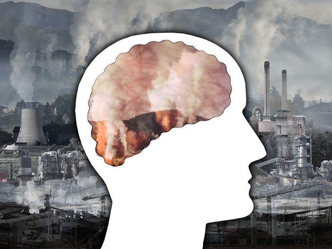 Pollution: la qualité de l’air et la santé du cerveau.