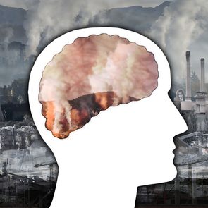 Pollution: la qualit de lair et la sant du cerveau.