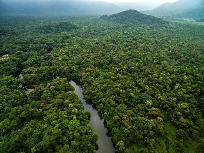 L'Amazonie est une destination à risque