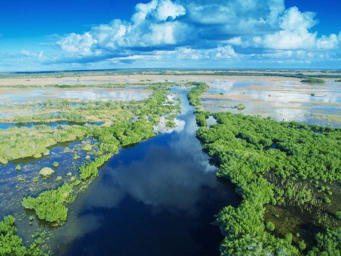 Le parc des Everglades est une destination qui risque de disparaitre