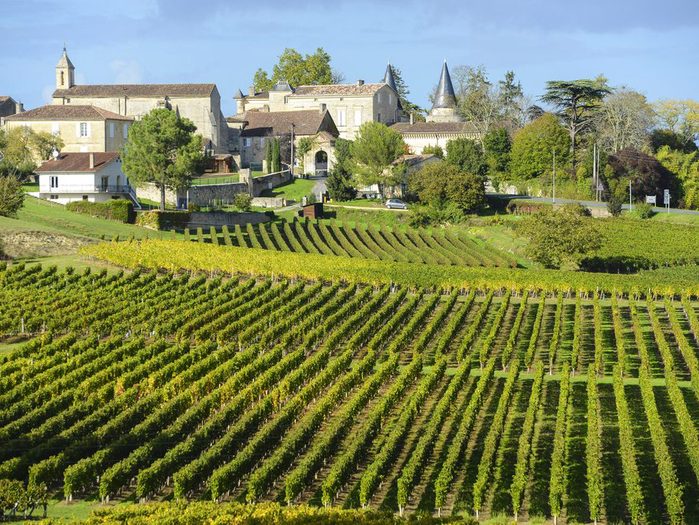 La région viticole bordelaise est une destination française