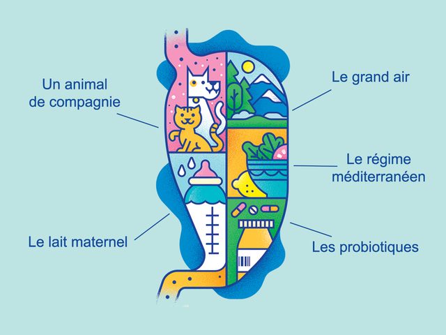 Microbiote: les 5 Cls pour la sant intestinale.