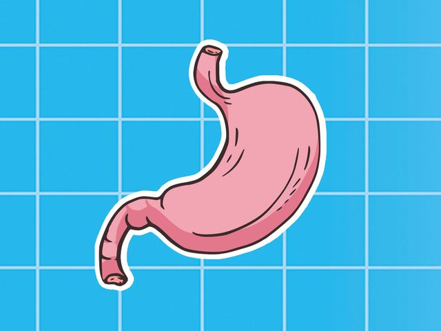Faire travailler le systme digestif avec un programme d'entretien pour le corps.