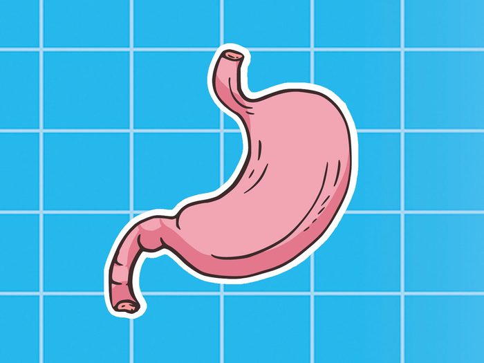 Faire travailler le système digestif avec un programme d'entretien pour le corps.