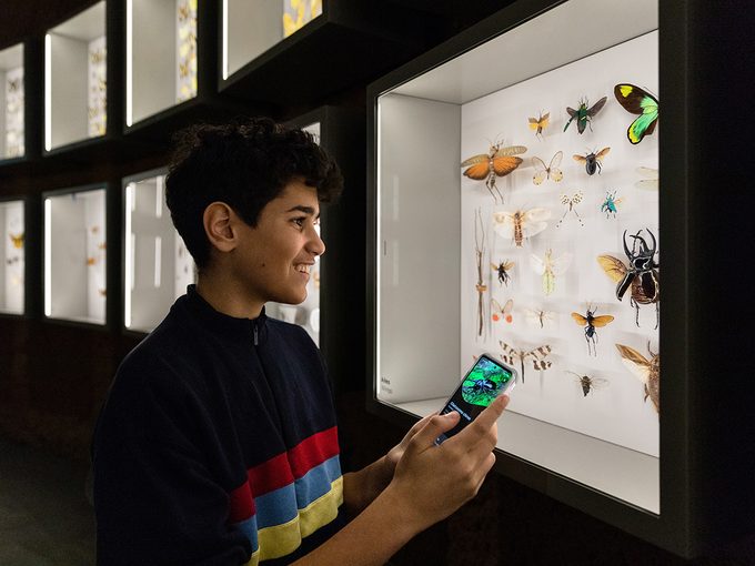 Une application mobile et des écrans tactiles disposés dans l’exposition peuvent vous aider à parcourir les allées de l'insectarium de Montréal.