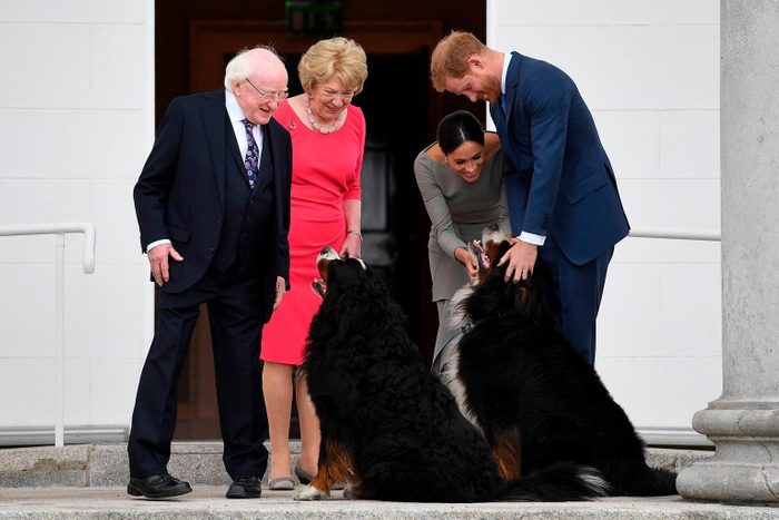 Parmi les chiens de la famille royale, voici Meghan Markle avec ceux du président de l'Irlande