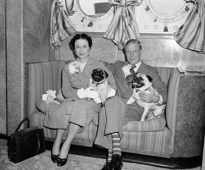 Parmi les chiens de la famille royale, voici ceux du duc et de la duchesse de Windsor